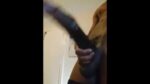 Giant black dick jerk off on webcam